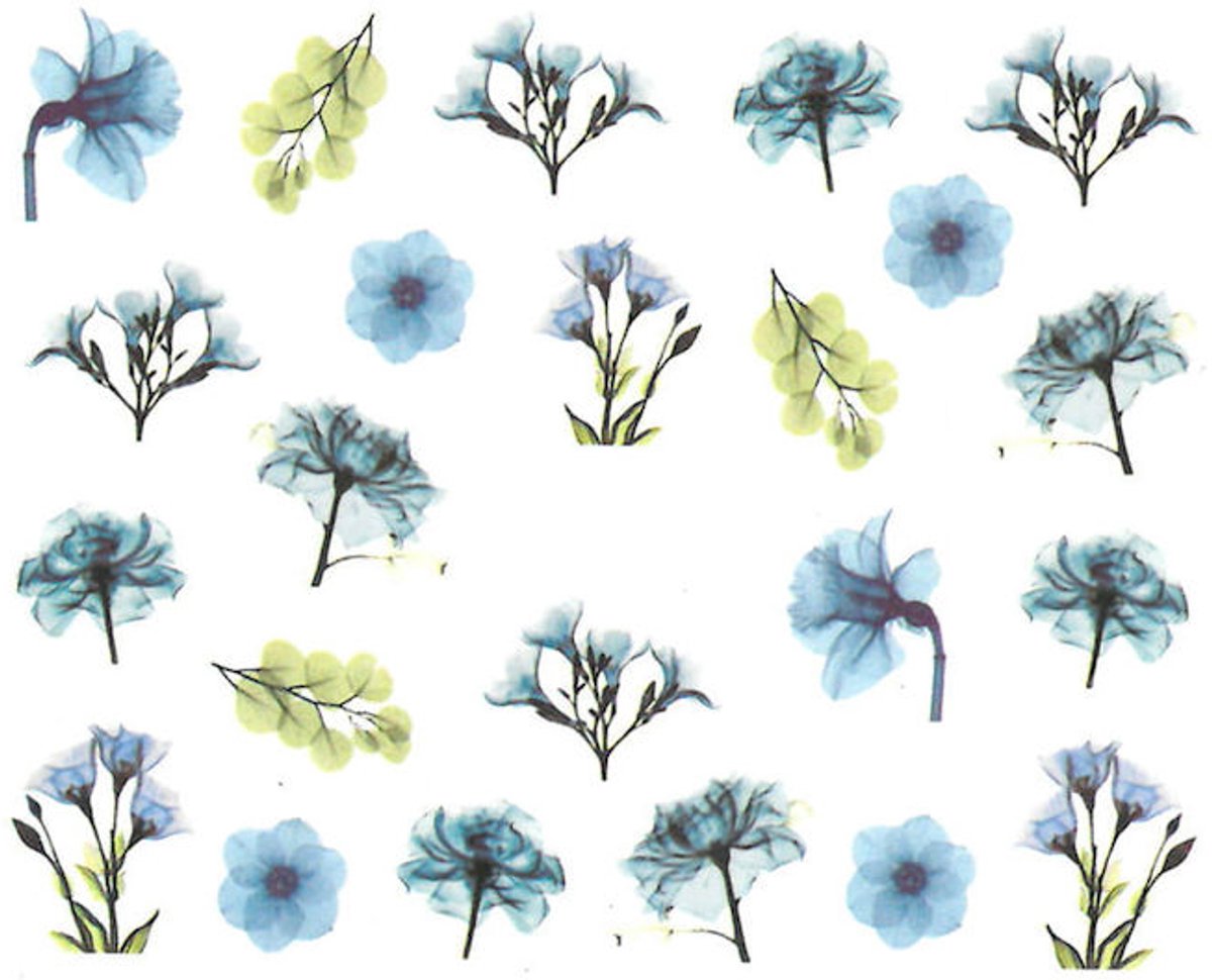 DRM Nagel Waterdecals BN-871
