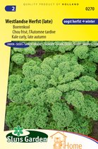 Graines de chou frisé d'automne (tardif) Westland : cultivez du chou frisé nutritif, délicieux et rustique dans votre propre Jardin