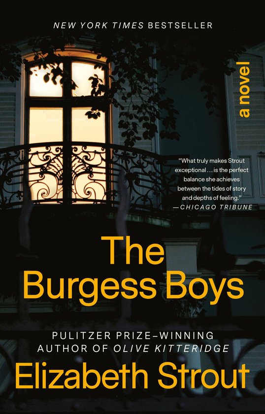 The Burgess Boys - cover