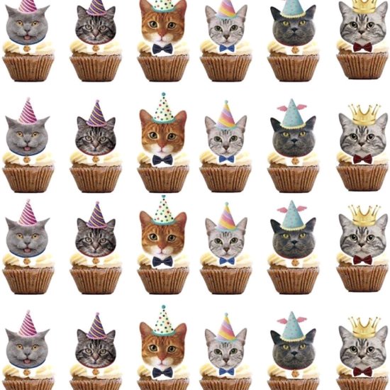 Zo maak je een verjaardagstaart voor je kat