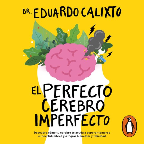 El perfecto cerebro imperfecto - cover