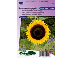 Sluis Garden - Zonnebloem Hoge gele