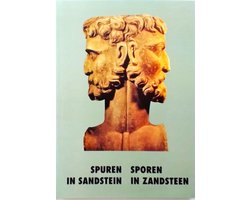 Sporen in zandsteen / Spuren in sandstein