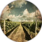 Wijngaard schilderij rond - Landschap wandcirkels - Wanddecoratie rond Lucht - Modern schilderij - Wandschaal - Slaapkamer decoratie muurcirkel aluminium 80x80 cm