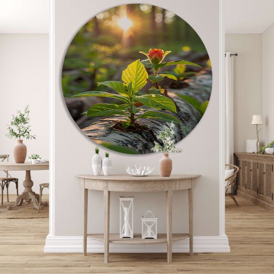 Plant wandschalen - Flora wandcirkel - Muurcirkel Zon - Schilderij vintage - Wanddecoratie rond - Kantoor decoratie muurcirkel aluminium 70x70 cm