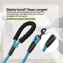 Turquoise hondenriem met zwart ruitpatroon en zachte handgrepen, met een detail van de stevige aansluitingen. Man en hond op de achtergrond.