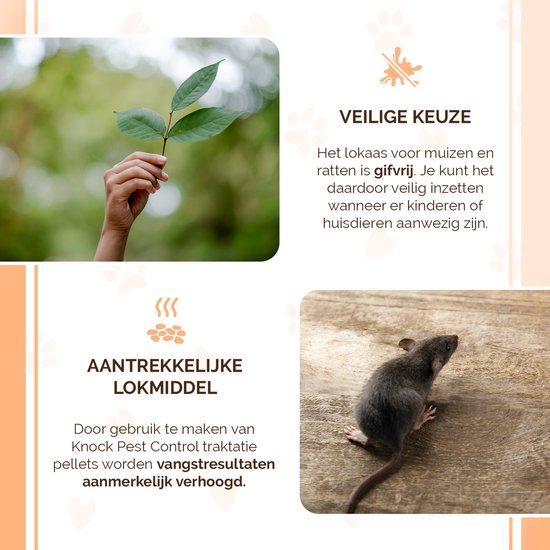 Een hand die groene blaadjes vasthoudt, en een grijze muis op een houten ondergrond.