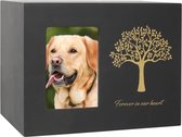 Luxueuze Mini Urn Hond Kat – Urne – Hout – Urnen – Urn Voor Dieren – Urn Hond Overleden – Urn Kat – Zwart – Inclusief Fluwelen Zakje