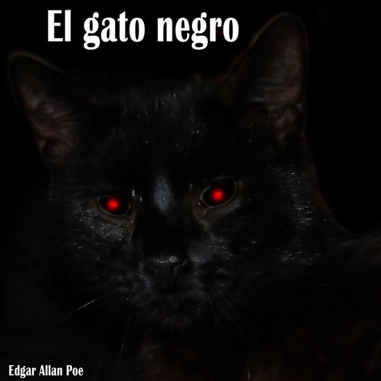 EL Gato Negro - cover
