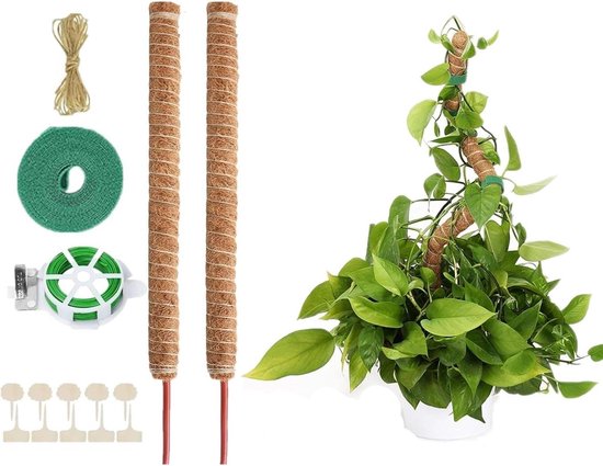 Foto: Mosstok 120 cm set van 2 buigzame stok voor monstera en klimplanten moss rod plant pole climbing