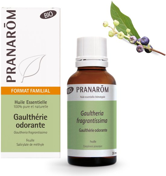 Pranarôm Essentiële Olie Bergthee Bio 30 Etherische olie