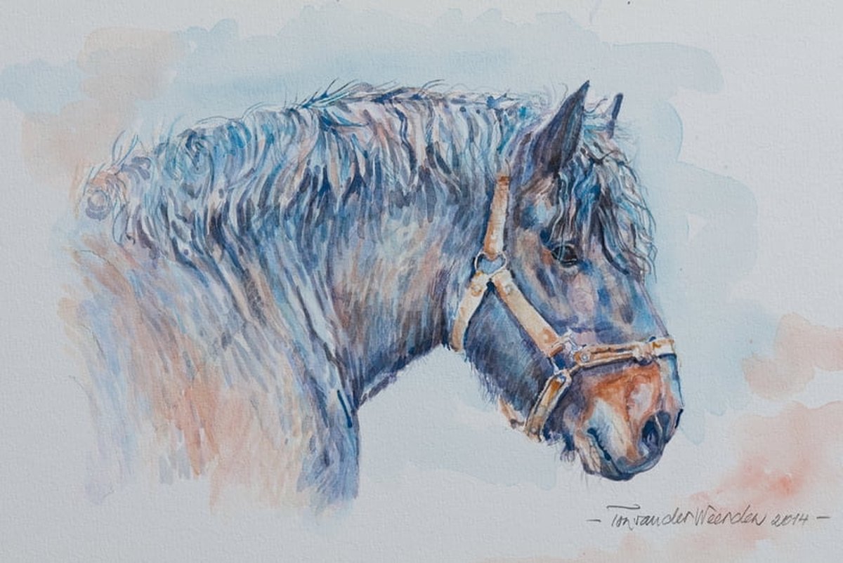 Trekpaarden schilderij TW29 - Canvas - Ton van der Weerden - 50 x 70 cm
