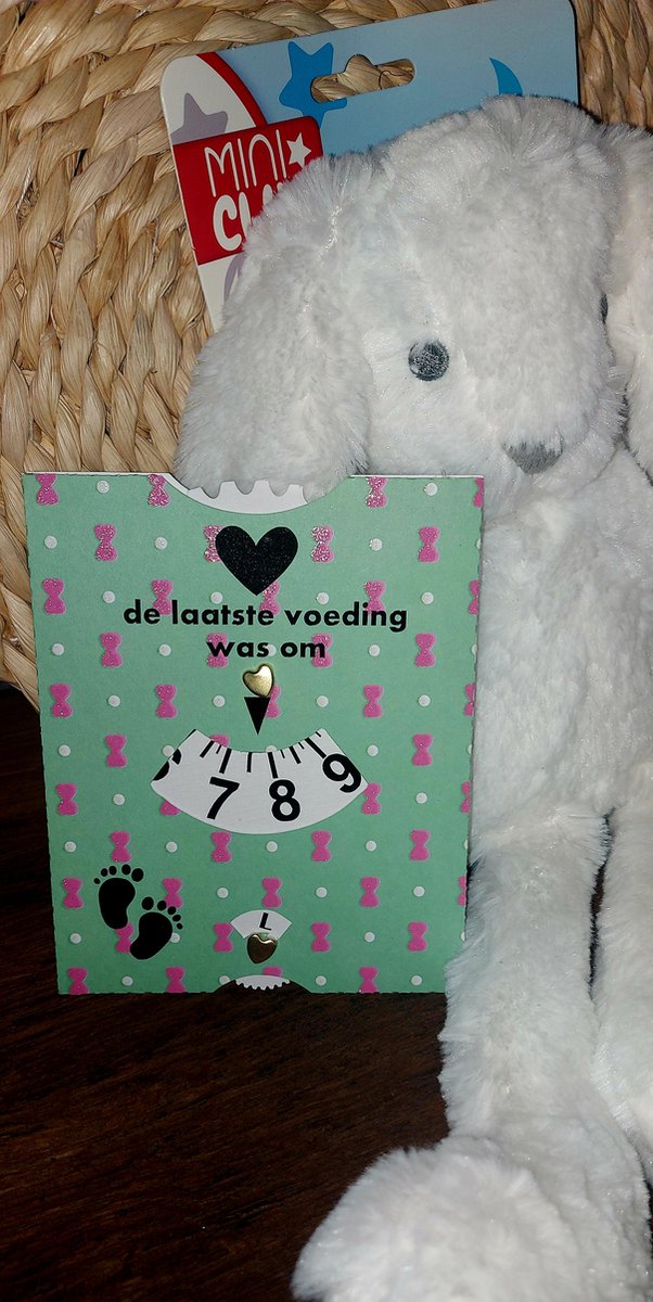 Voedingsschijf groen met roze strikjes, Voedingskaart, hulp schijf voeding, Borstvoeding, Cadeau, Kraam cadeau, Baby, Babyshower, Voedingskaart van LittleBeasts — afbeelding 2