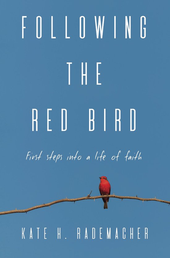 Following the Red Bird - cover