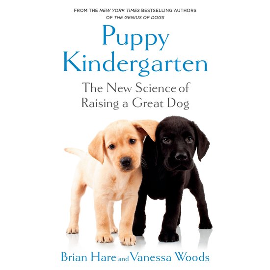 Puppy Kindergarten - cover