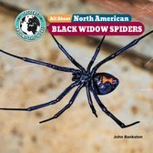 All About North American Black Widow Spiders