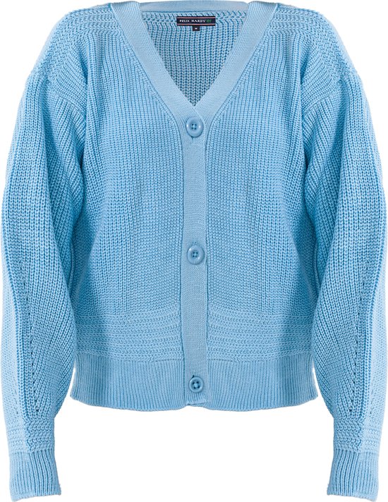 Felix Hardy Cardigan Tricoté - Cardigan Femme Blauw - Xl
