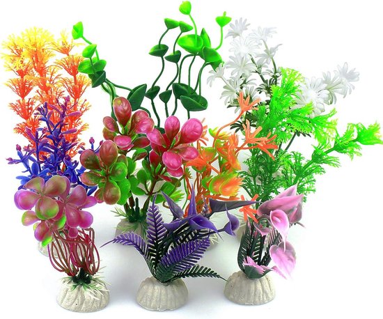 Pakket - Aquariumplanten kopen? | Korting tot 25 Pakket - Aquariumplanten kopen? | Korting tot 25
