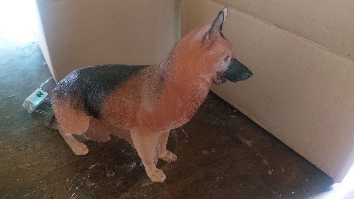 starwolf, lampje in vorm van een hond, duitse herder met ledverlichting, geschenk