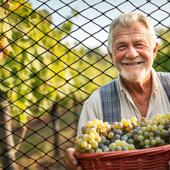 Lot De 10 Amplificateurs D'instrumentation AD620ARZ - Puces SOP-8, Neufs, Pour Circuits électroniques