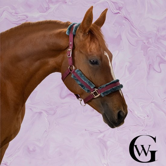 Bruin paard met een bordeauxrood halster met blauwzwarte imitatiebontvoering, op een roze achtergrond.