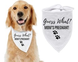 Bandana annonce grossesse Guess What ? Mom's Pregnant - chien - enceinte - bébé - baby shower - animal de compagnie - révélation de genre