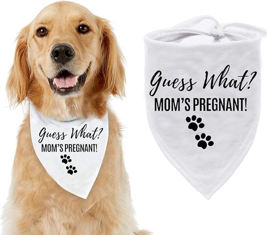 Zwangerschaps aankondiging bandana Guess What? Mom's Pregnant - hond - zwanger - baby - babyshower - huisdier - genderreveal