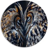 Uilen schilderij - Dieren wandschalen - Muurcirkel Veren - Moderne schilderijen - Wandschaal - Muur kunst muurcirkel forex 80x80 cm