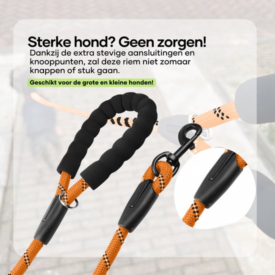 Oranje hondenriem met zwart patroon, zwart schuimrubber handvat en metalen karabijnhaak.