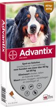 Bayer Advantix Vlooien & Teken Pipetten - Hond 40+ kg - 4 stuks
