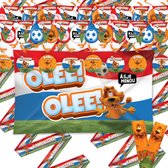 Oranje Pakket 53 items- Oranje Vlaggen - Oranje Versiering - EK Versiering - Oranje Vlaggenlijn- EK Vlaggenlijn - EK Spandoek- Oranje Vlaggen- EK Vlaggen- Oranje Vlag - Loeki de Leeuw - Oranje Vlaggetjes- Oranje lint - EK Voetbal - Ballonnen Oranje