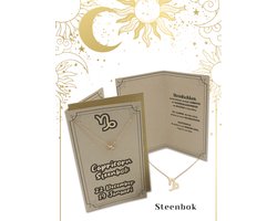 My Aura - Steenbok Capricorn - Sterrenbeeld - Horoscoop kaart - met Ketting - Zodiac sieraden - wenskaart met envelop - Nederlands