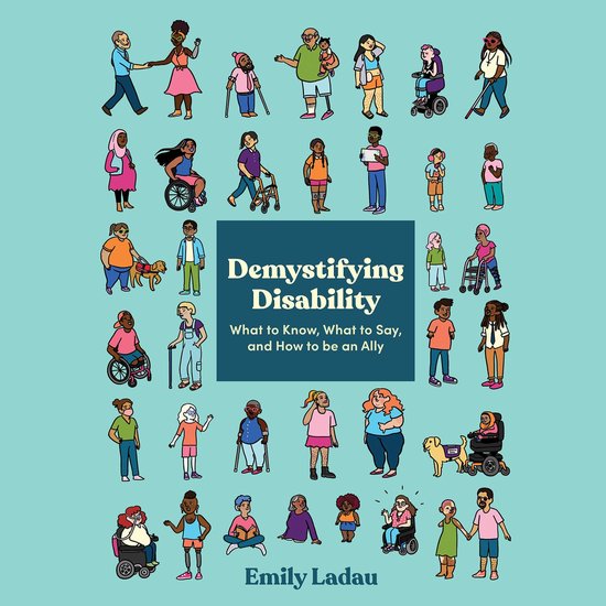 Demystifying Disability - cover