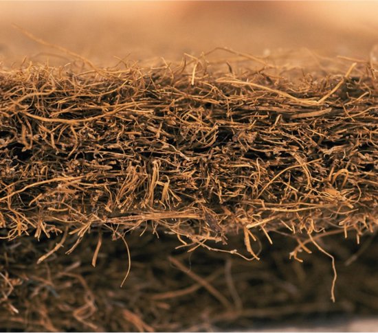 Beschermdoeken zijn essentieel voor de winterbescherming van je planten. | Ertrijckx BVBA
