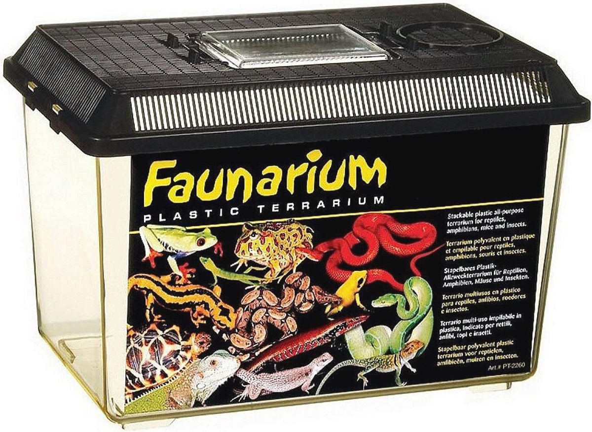 Medium Faunarium voor Terrariumdieren - Ideaal voor Transport en Quarantaine