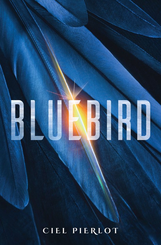 Bluebird - cover