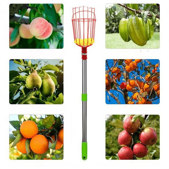 Fruitplukker met telescopische steel - Fruitplukker van 1,6 m - Montage in 4 delen - Gereedschap voor het plukken van kersenfruit - Met lichte, verstelbare steel en opbergzak voor fruit - Voor het plukken van peren, citroenen en sinaasappels van Merkloos	 — afbeelding 3