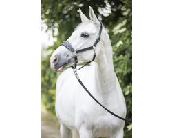 Leren Paarden halster – Zwart met Zilveren Glitter – Maat Cob – Anatomisch & Comfortabel – MTB Equestrian