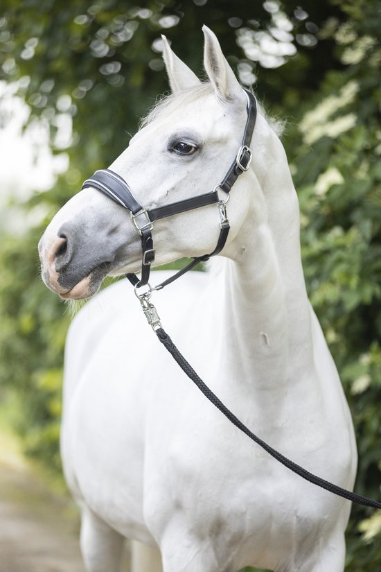 Licol De Spectacle En Cuir Noir Avec Chaîne Argent – Taille Cheval, Fabrication Inde