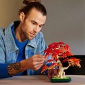 Een man met een spijkerjack stelt een LEGO Japanse esdoorn boompje samen.