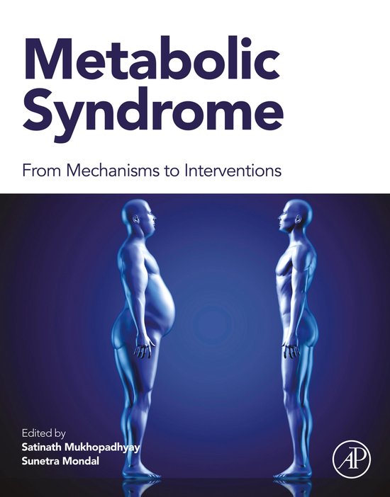 Metabolic Syndrome - cover