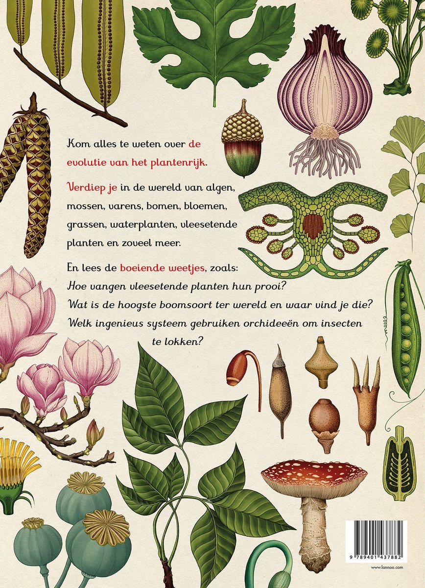 Het plantenboek - back cover