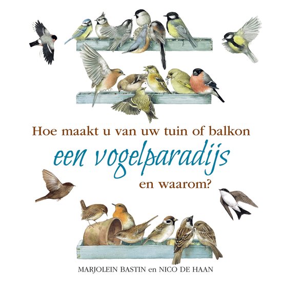 Hoe maakt u van uw tuin of balkon een vogelparadijs - cover