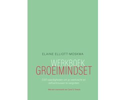 Omslag van Werkboek groeimindset