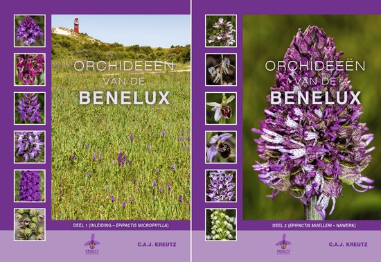 Orchideeën van de Benelux - cover
