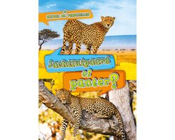 Ontdek de verschillen - Jachtluipaard of panter?