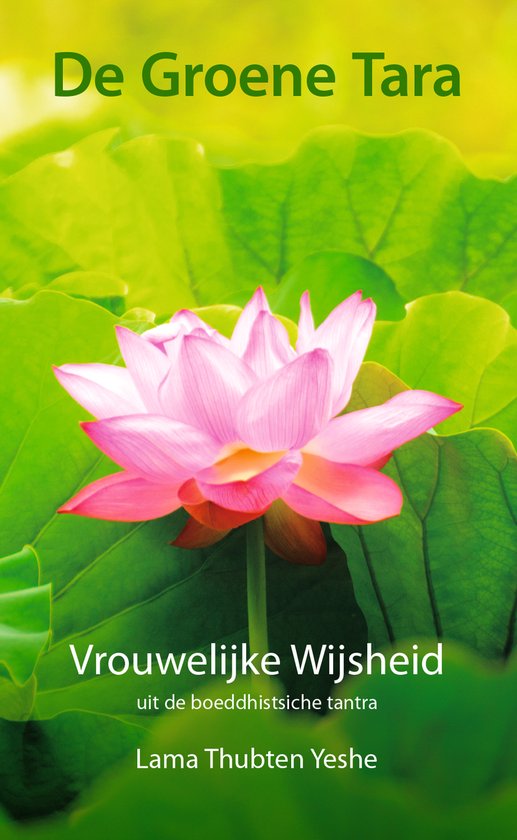 Omslag van De groene tara