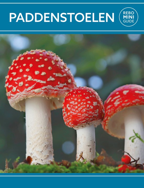 Paddenstoelen - Rebo mini guide