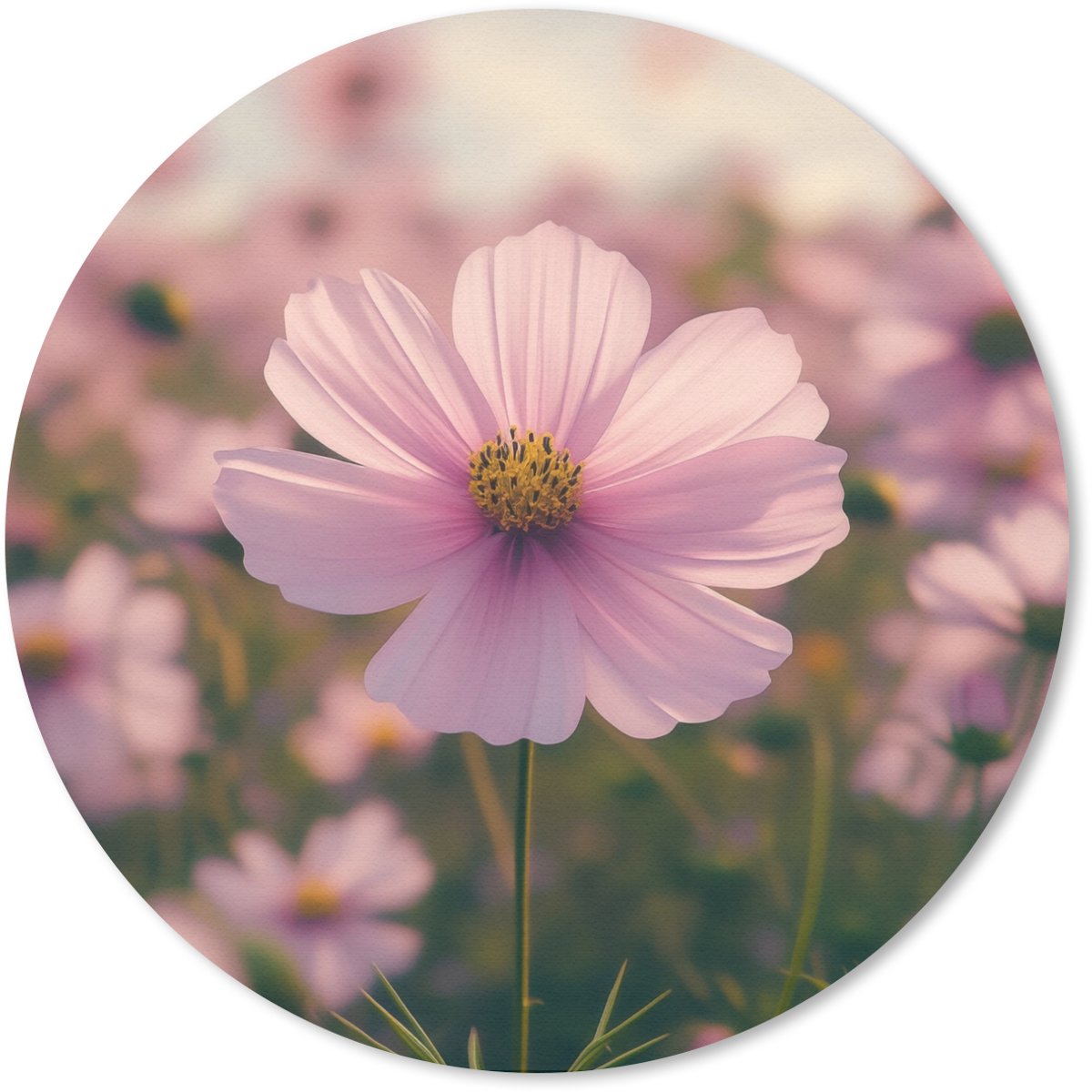 Muismat rond 40x40 cm - Mousepad Bloemen - Paars - Wazig - Ronde muismatten