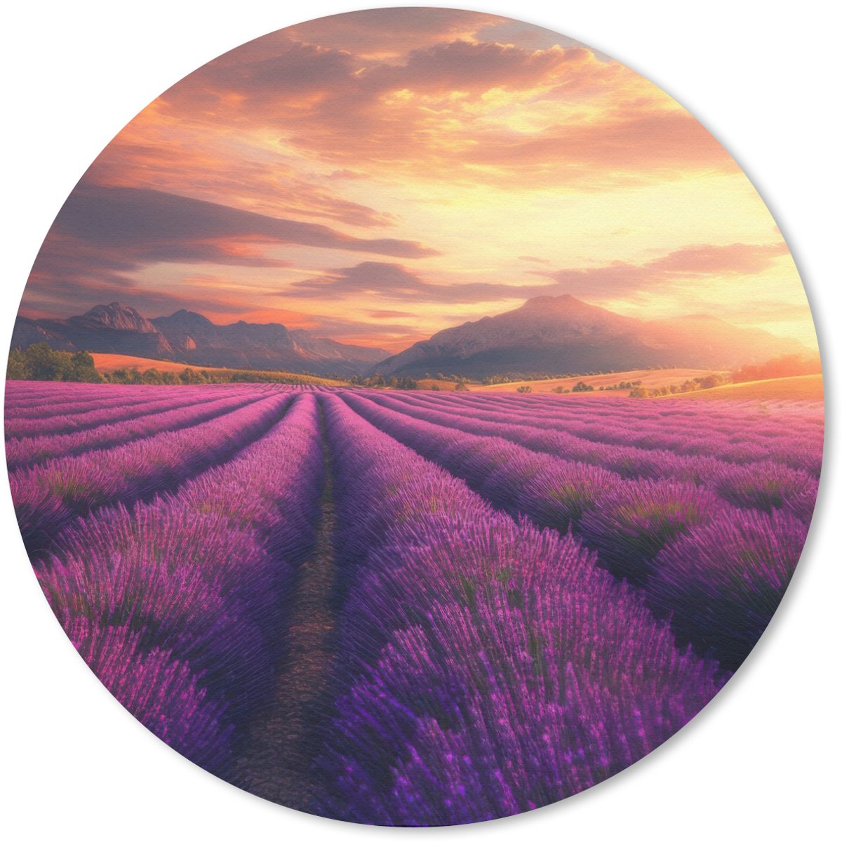 Muismat rond 50x50 cm - Mousepad Lavendelveld - Zonsondergang - Paars - Ronde muismatten